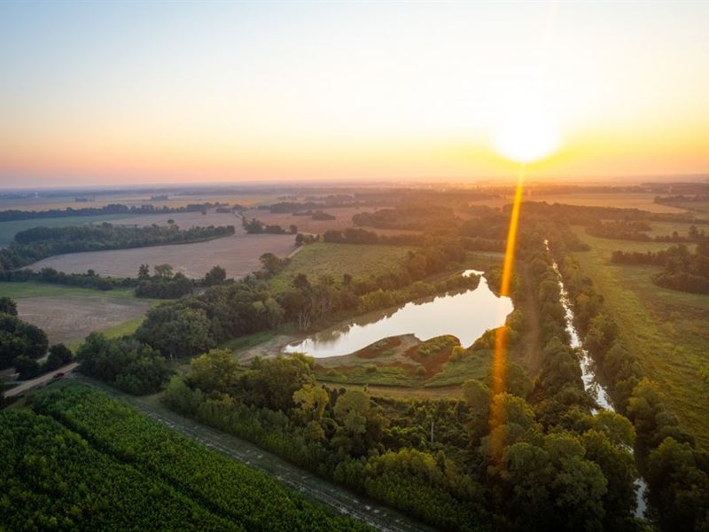 Flatland Flyway : Poplar Grove : Phillips County : Arkansas