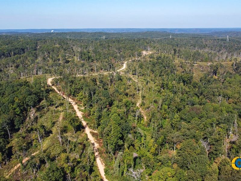 Waverly Ridge West Parcel : McEwen : Humphreys County : Tennessee