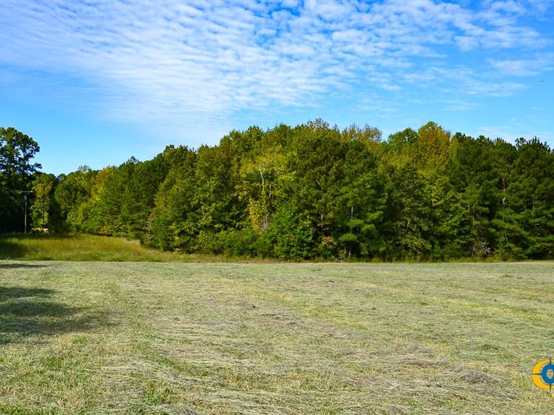 Knox Station Farm : Richburg : Chester County : South Carolina
