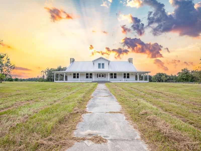 RO Ranch East : Mayo : Lafayette County : Florida