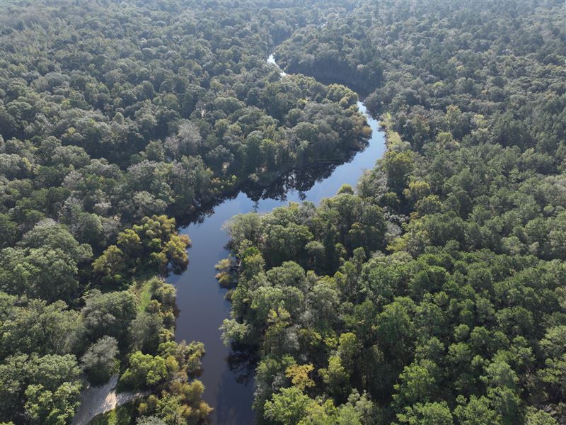 14.09 Acres, Ohoopee River Tract : Tattnall : Tattnall County : Georgia