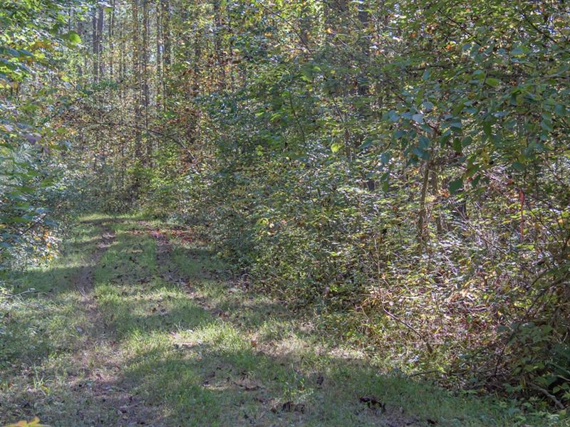 Louisa Tract : Louisa : Louisa County : Virginia