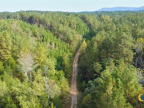 Possum Hollow Tract : Fairmount : Gordon County : Georgia