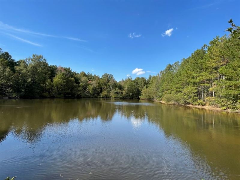 30.937 Acres, Wooded Acreage : Greenwood : Greenwood County : South Carolina