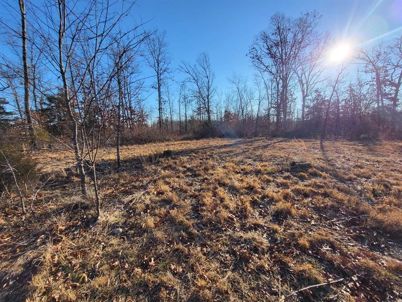 Hunting, Camping, Build Dream Home : Huggins : Texas County : Missouri