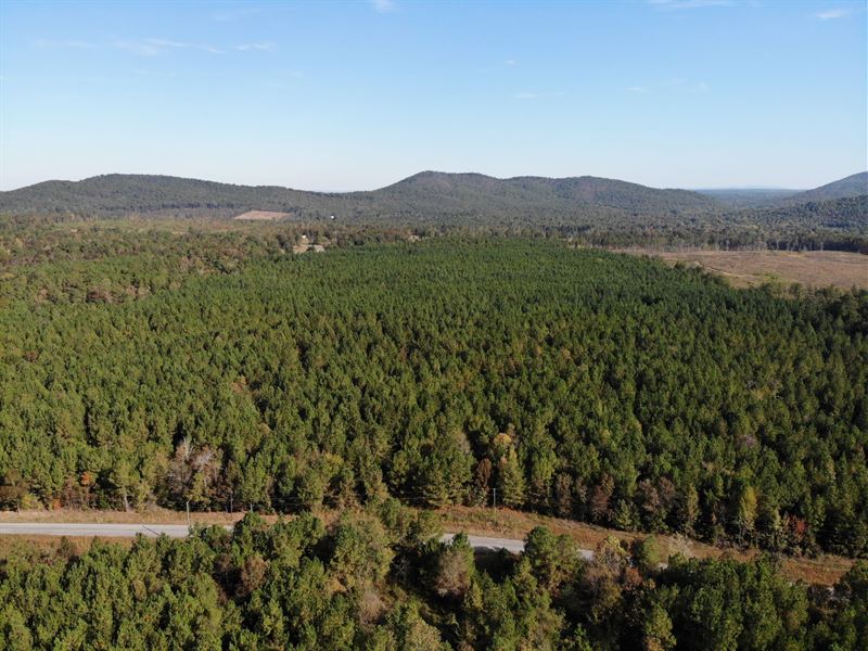 Chandler Springs 143Ac : Talladega : Talladega County : Alabama