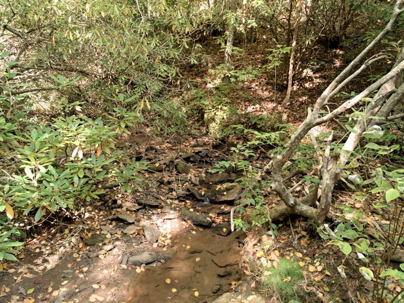 12.03 Acres in Henderson County, NC : Zirconia : Henderson County : North Carolina