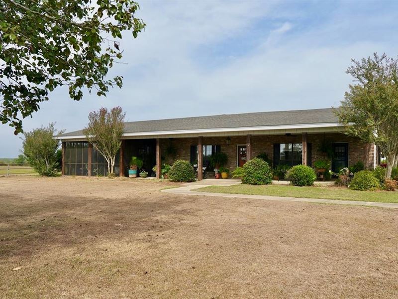 Sw Miss House with 88 Acres and 6 : Tylertown : Pike County : Mississippi
