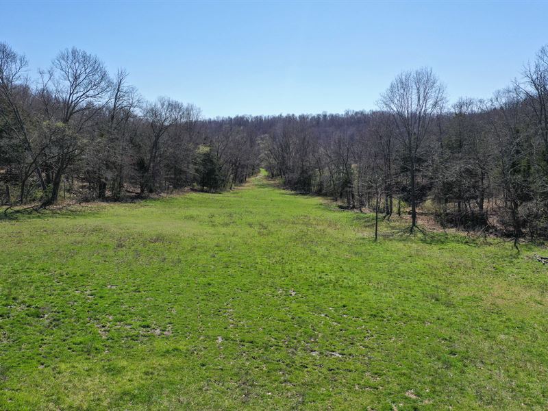 Land for Sale in Missouri : Norwood : Wright County : Missouri
