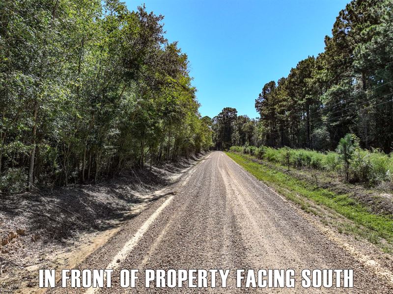 30 Acres Vacant Land in Iota, LA : Iota : Acadia Parish : Louisiana