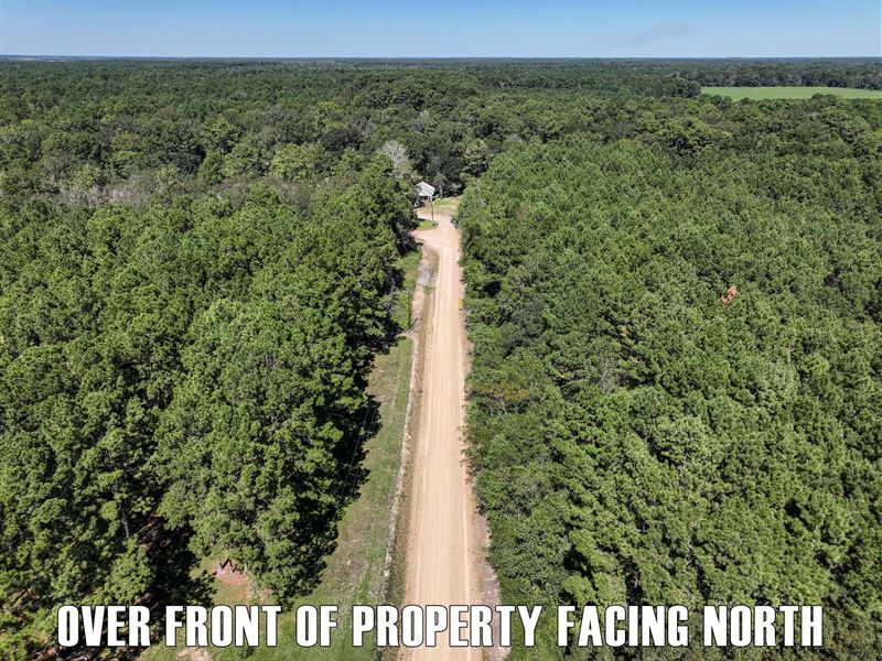 20 Acres Vacant Land in Iota, LA : Iota : Acadia Parish : Louisiana