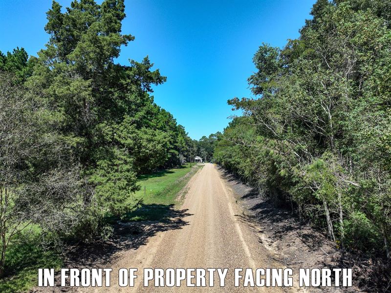 38 Acres Vacant Land in Iota, LA : Iota : Acadia Parish : Louisiana
