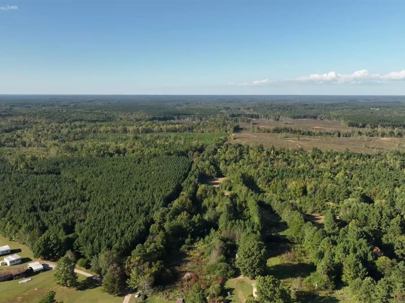 28.17 Acres in Brunswick County, VA : Brodnax : Brunswick County : Virginia
