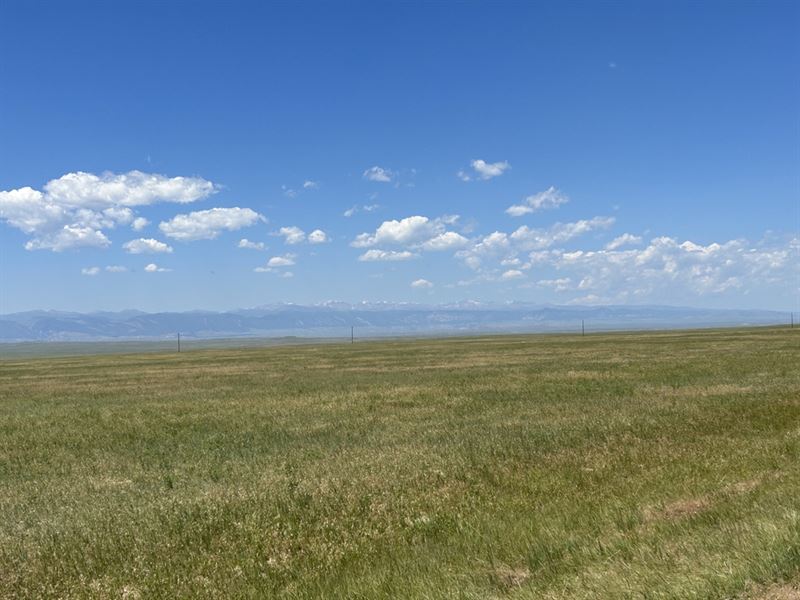 Nine Mile Road : Buffalo : Johnson County : Wyoming