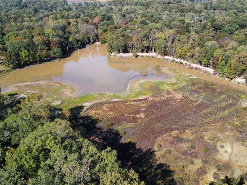 Carlisle Dream 40 : Carlisle : Lonoke County : Arkansas