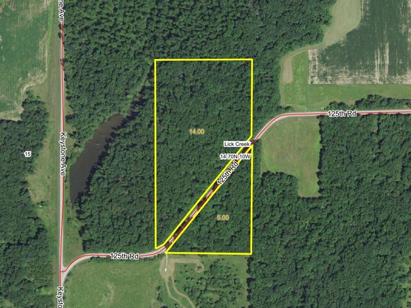 19 Acre M/L Wooded Acreage : Birmingham : Van Buren County : Iowa