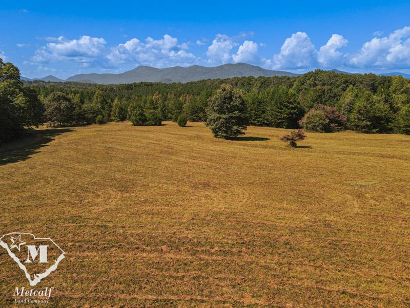 82 Acres Near Tryon, NC : Tryon : Polk County : North Carolina