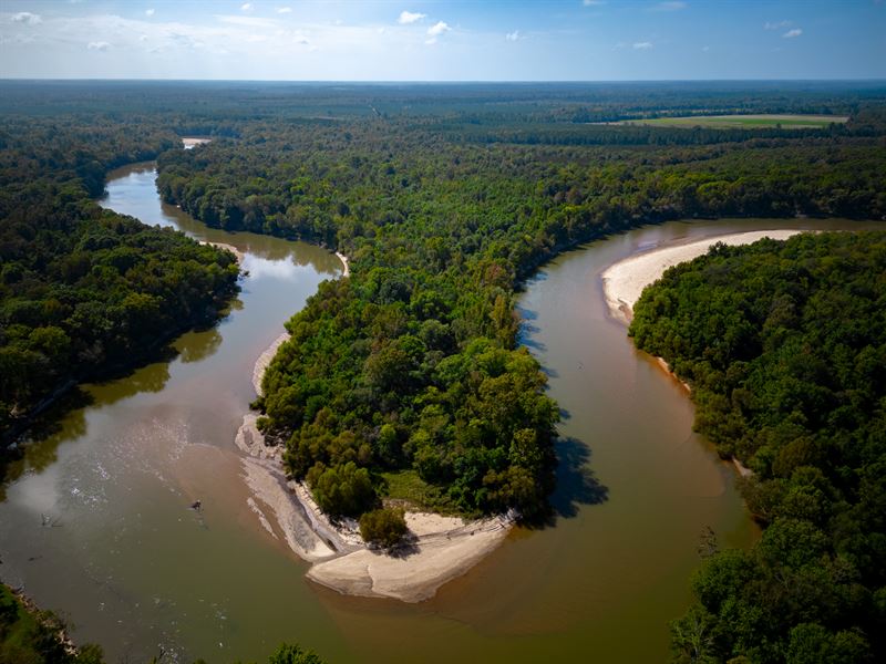449 Acres, Oconee River Reserve : Lumber City : Wheeler County : Georgia