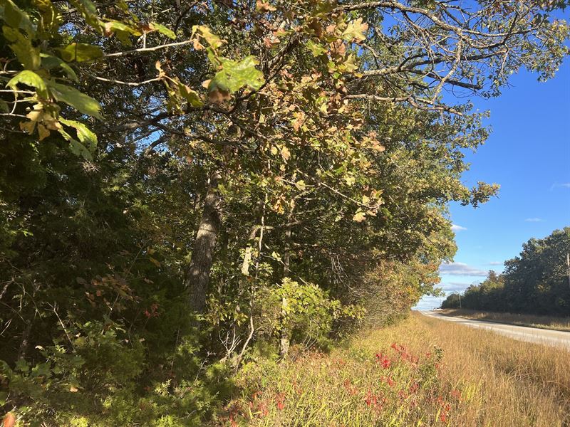 Land for Sale in Southern MO : Hartville : Wright County : Missouri
