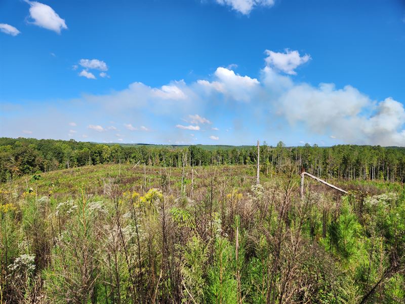 Tuckaway Acres : Wadley : Clay County : Alabama