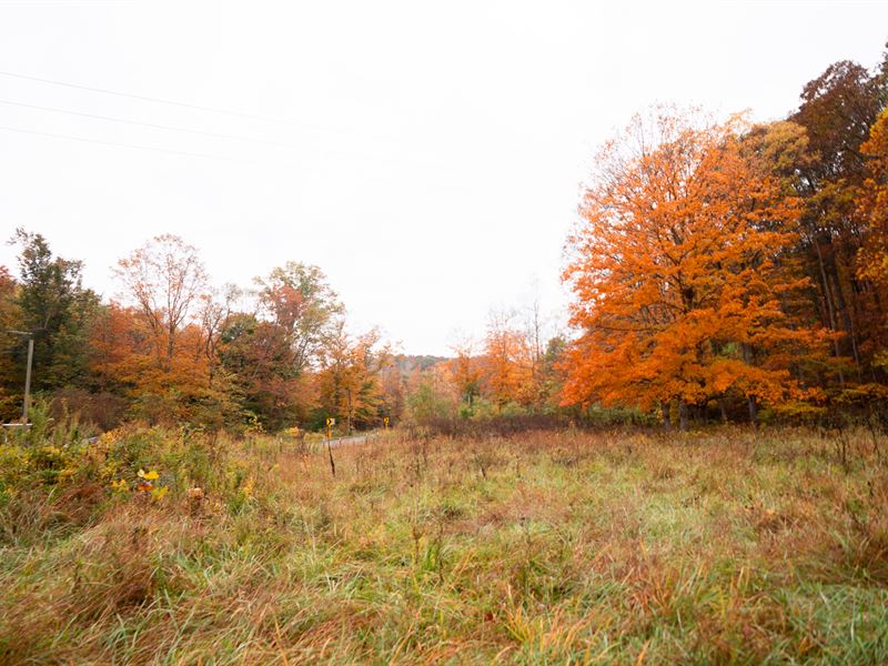 Jackson County, Ohio Land for Sale : Jackson : Jackson County : Ohio
