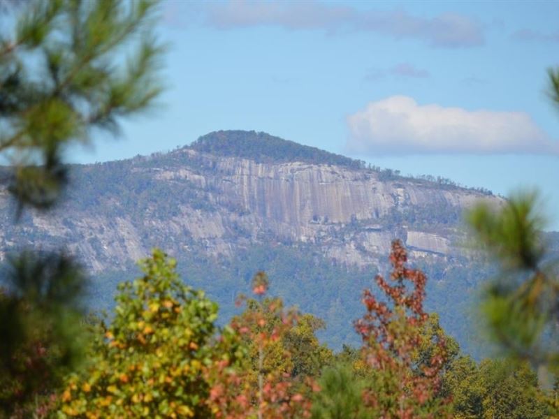 117.58 Acres, Beautiful Acreag : Marietta : Pickens County : South Carolina