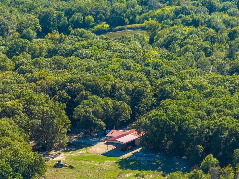Big Creek Ranch : Brashear : Hopkins County : Texas