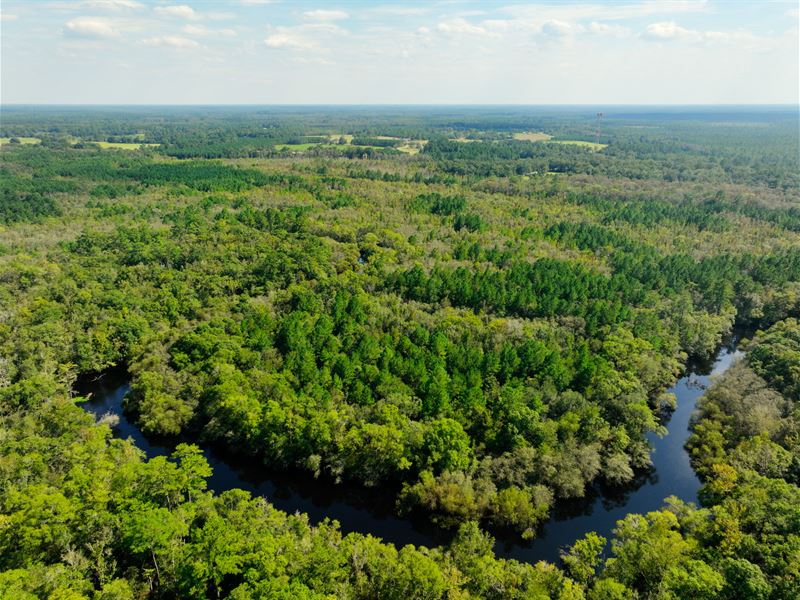 Satilla River Plantation : Nahunta : Brantley County : Georgia