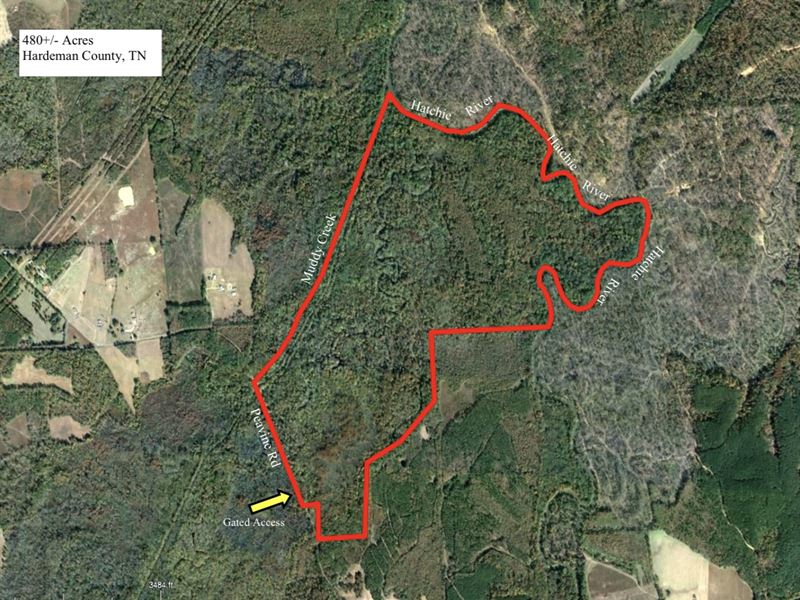 Prime Hatchie River Hunting Land : Pocahontas : Hardeman County : Tennessee