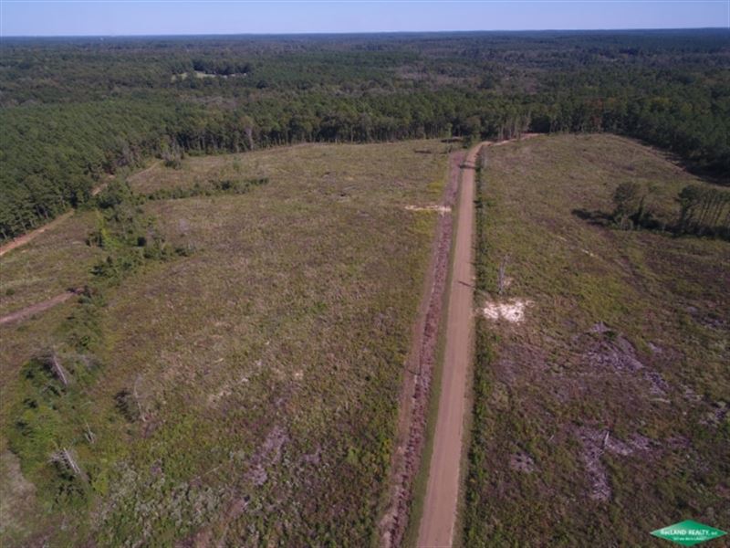 20 Ac, Timberland, Home Site Use : Eros : Ouachita Parish : Louisiana
