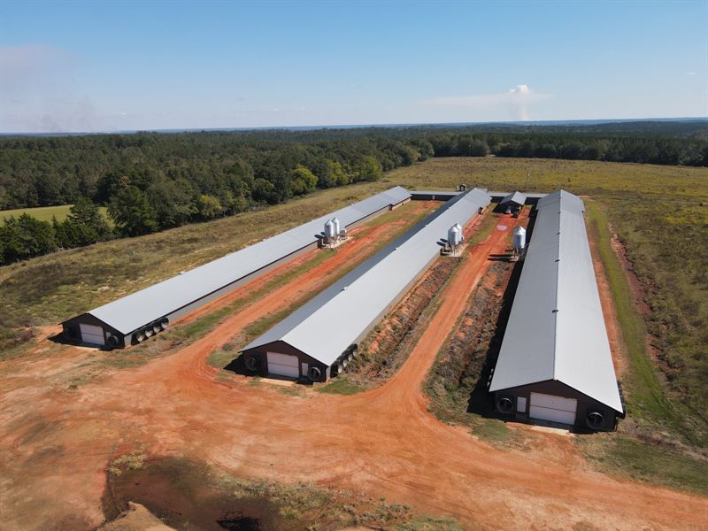 Hidden Meadow Farms : Clopton : Dale County : Alabama