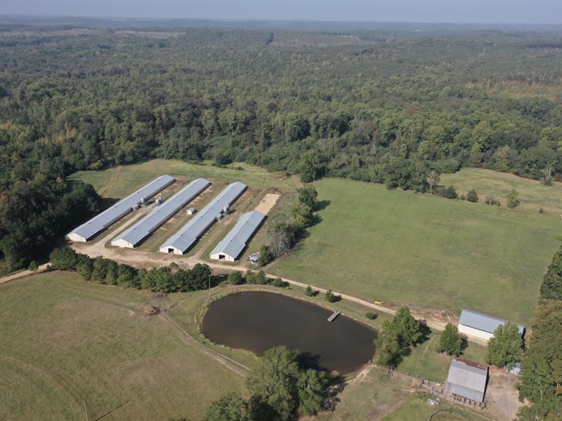 Mobley Broiler Farm : Hamilton : Marion County : Alabama