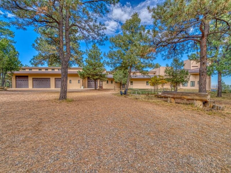 D81 Santa Fe Trail Ranch with 4,500 : Trinidad : Las Animas County : Colorado