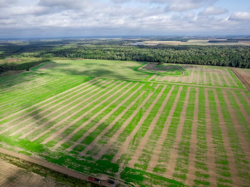 Mallard Bayou : Des Arc : Prairie County : Arkansas