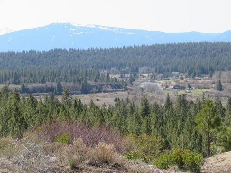 30 Acres Nestled in The Trees : Chiloquin : Klamath County : Oregon