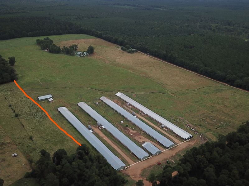 2 House Foster Farms Breeder 80 Ac : Hope : Nevada County : Arkansas