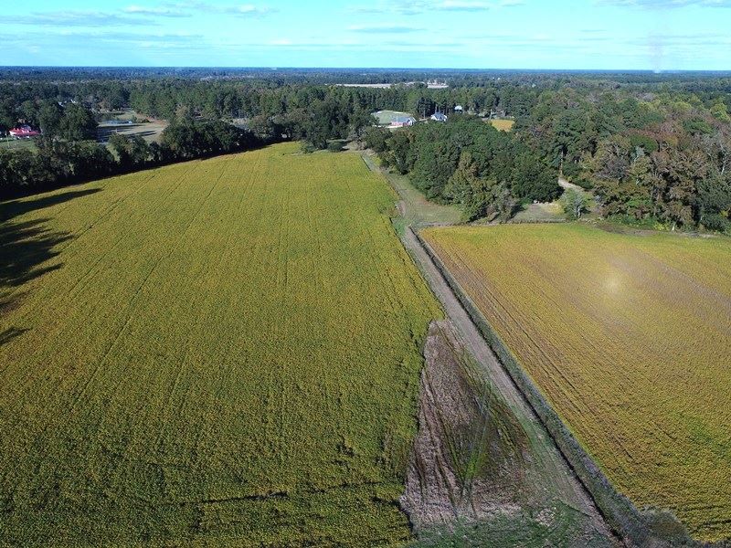Beautiful Mini Farm : Whitevile : Columbus County : North Carolina