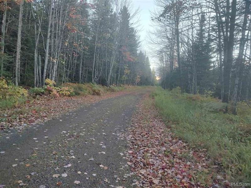 40 Acres Baraga County 50125682 : L'anse : Baraga County : Michigan