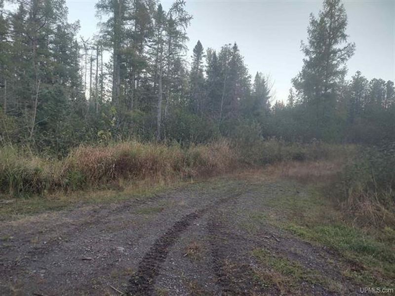 40 Acres L'anse Twp 50125683 : L'anse : Baraga County : Michigan