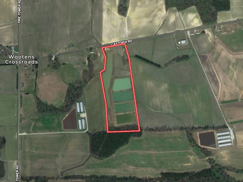 22.8 Acres of Far : Walstonburg : Greene County : North Carolina