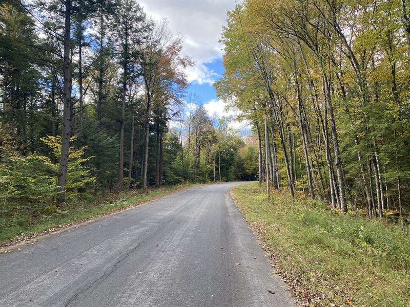 Near Salmon River : Albion : Oswego County : New York