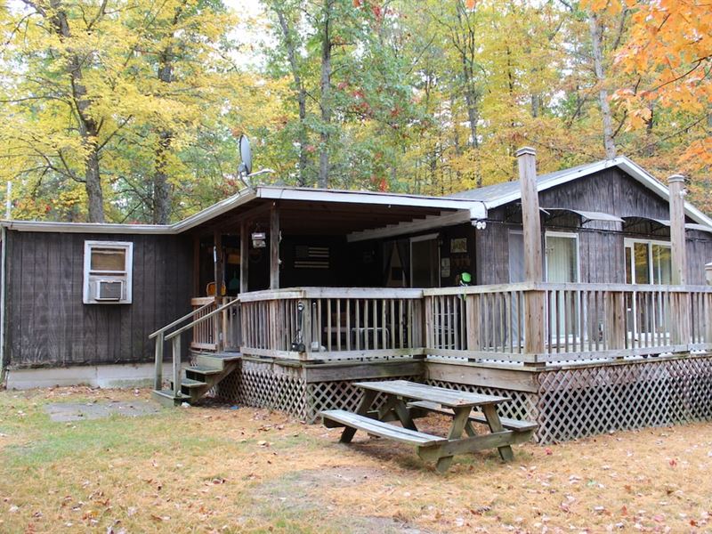 14 Acres of Hunti : Head Waters : Highland County : Virginia