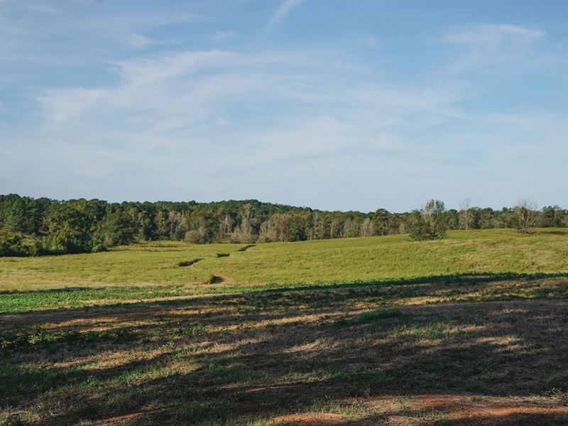 Parish Line 152 : Choudrant : Lincoln Parish : Louisiana