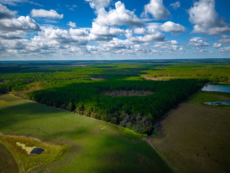 Pine Haven Retreat : Pearson : Atkinson County : Georgia