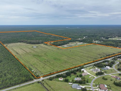 Tomoka Farms Road 411 Acres : Port Orange : Volusia County : Florida