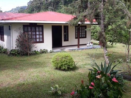 Beautiful Estate with House : Costa Rica
