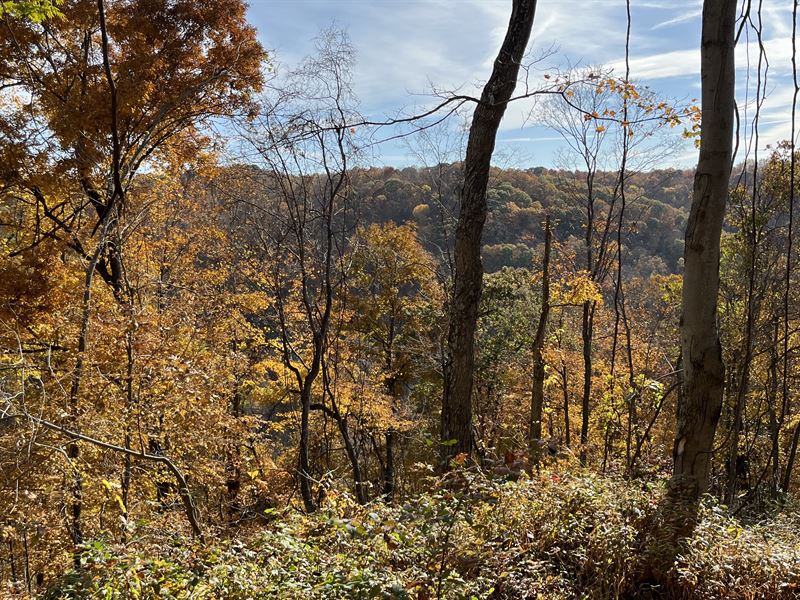 Hunting Property for Sale in Ohio : New Matamoras : Washington County : Ohio