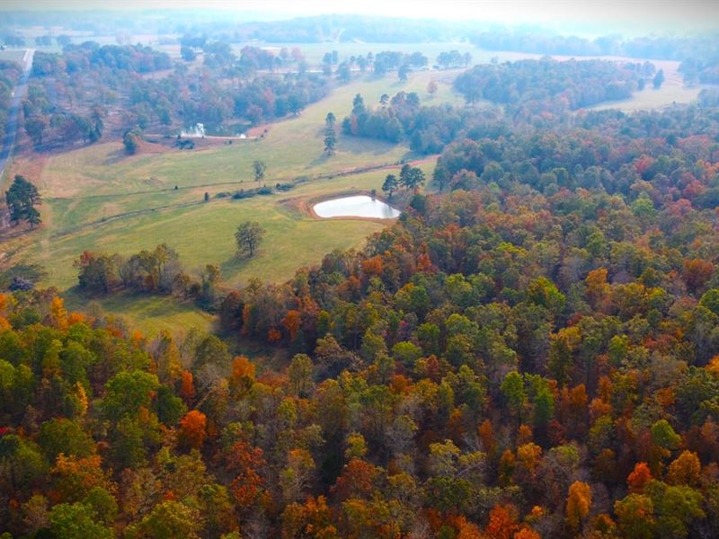 130 Acres in Butler County, MO : Poplar Bluff : Butler County : Missouri