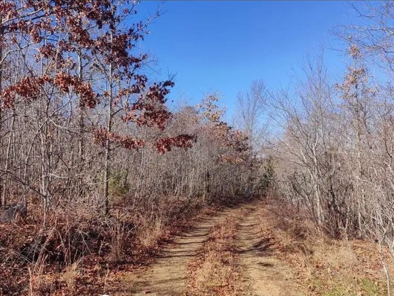 16 Acres in Bunker, MO : Bunker : Shannon County : Missouri