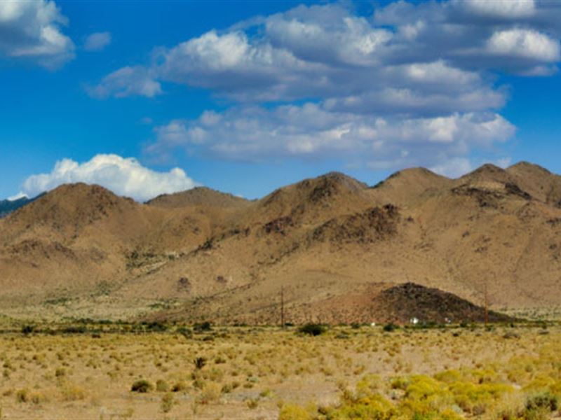 10 Acres of Unlimited Potential : Golden Valley : Mohave County : Arizona